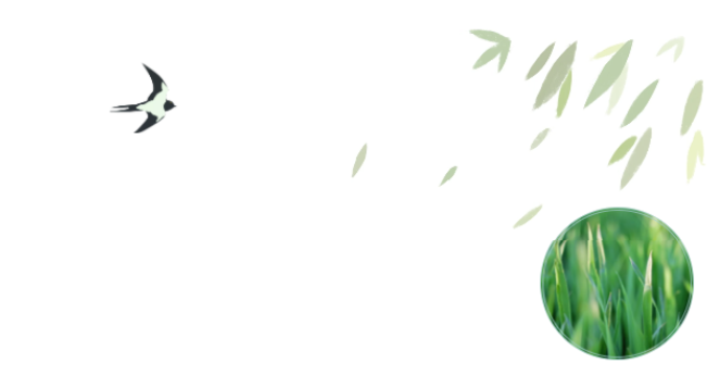 员工随笔丨抗“疫”过年，各人都还好吗？