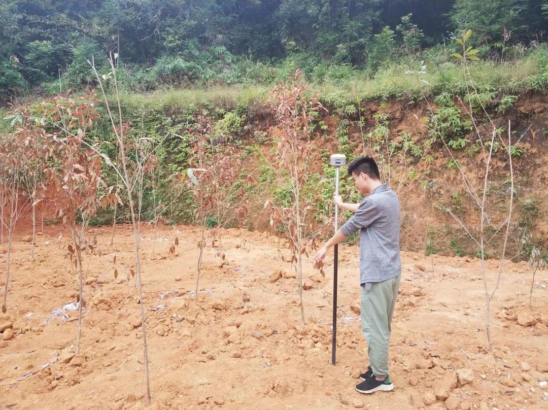 地皮规划部项目纪实丨人生就是博官网人，助力荒地变桑田！