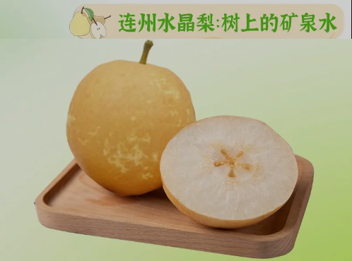 “桃李”炎暑，清冷一夏