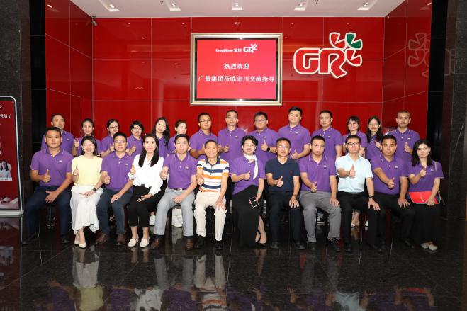 人生就是博官网集团组织治理团队表出进建