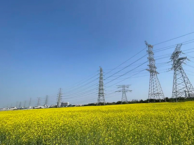 人生就是博官网规划丨央视点赞东莞厚街复耕良田盛开迎春花！