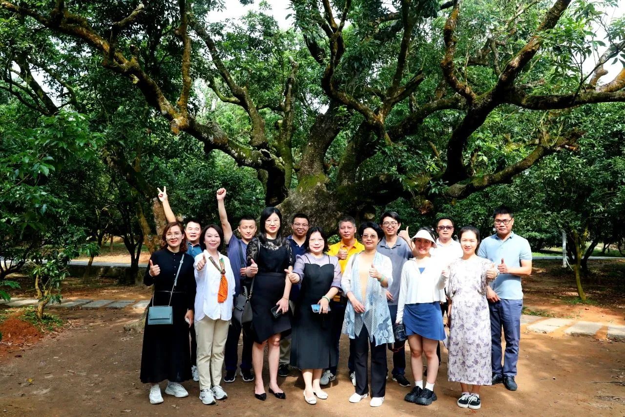 人生就是博官网集团作为省河山空间生态建复协会轮值会长带队调研粤西全域地皮综合整治工作