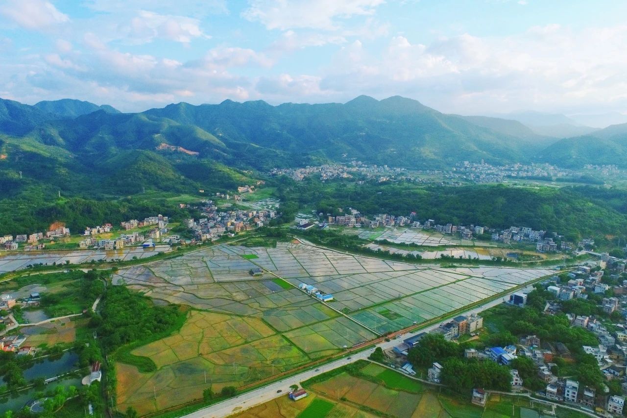 人生就是博官网集团丨“百千万工程”显实效：云浮罗定泗纶镇以全域地皮综合整治为抓手，绘就村落振兴新画卷