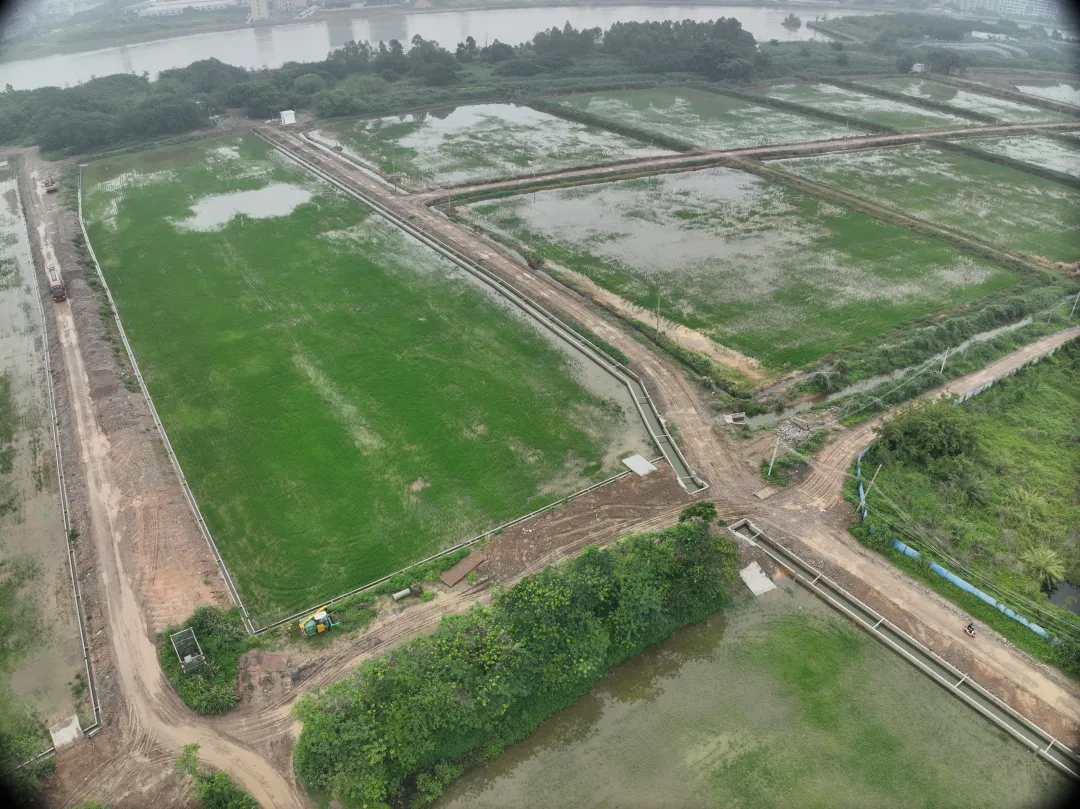 人生就是博官网集团丨复耕路滘撂荒地，绘就田园新图景