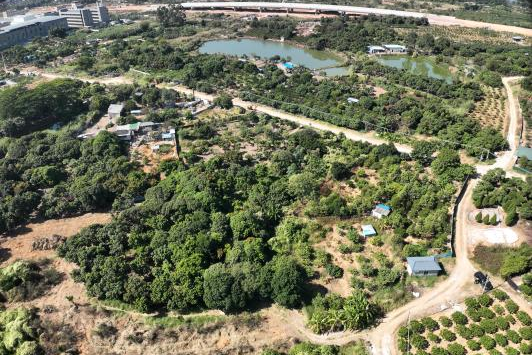 政策解读+实战案例！广东永农纠错新政落地，人生就是博官网助镇皆炱局耕地；