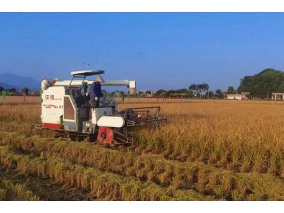 人生就是博官网评估与规划公司荣获“耕地；び帕嘉朗康ピ保