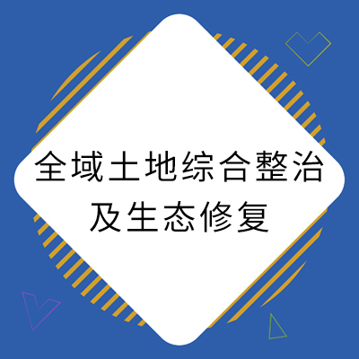 10全域地皮综合整治及生态建复.jpg